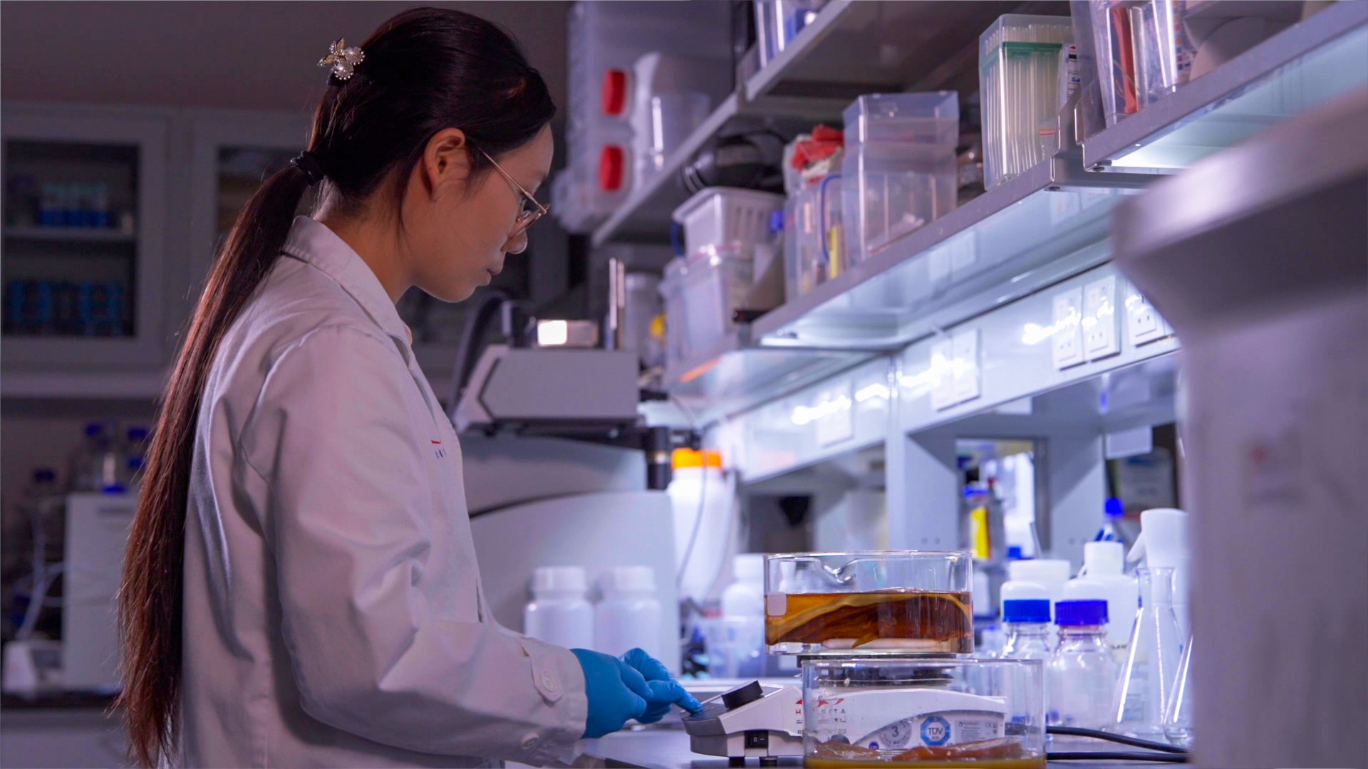 Open Lab University Outreach Kitty